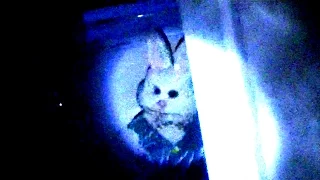 Easter Bunny Breaks Into My House! (CAUGHT ON SECURITY CAMERA!)