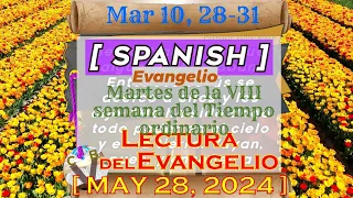 Lectura del Evangelio EVANGELIO ~ ESPAÑOL ~ ll MARTES  05 28 24    Mar 10#  28 31