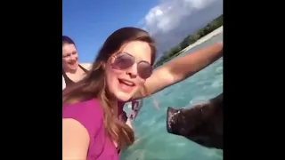 Смешные видео приколы инстаграма-The best, funny videos of instagram