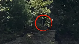 Virginia Lick Fork Bigfoot Encounter Captured on Camera