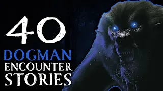 40+ SCARY DOGMAN AND CRYPTID ENCOUNTER STORIES - SCARY UPRIGHT CREATURES