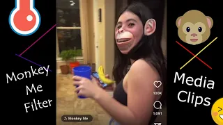Monkey Face Filter Video | Instagram Monkey Face Trend