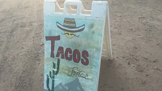 Lizard 🌮 tacos