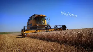 Žně 2022🌾 - Claas Lexion 670 & New Holland CSX7080 při sklizni pšenice