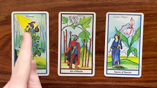 Time to see things differently 21 February 2023 Your Daily Tarot Reading with Gregory Scott