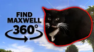 360° Find Hidden Maxwell The Cat