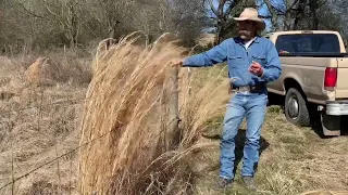 Building Safe Fencing for Horses - Part 1