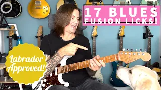 17 Blues/Fusion Licks - TAB Available!