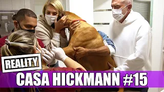 CASA HICKMANN #15 | PARTO EMOCIONANTE DOS FILHOTES