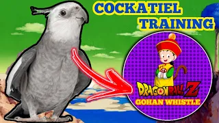 cockatiel singing the whistle of Gohan from the anime Dragon ball z (COCKATIEL TRAINING)