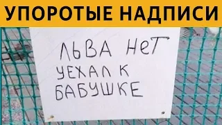 20 САМЫХ УПОРОТЫХ ОБЪЯВЛЕНИЙ - Льва нет, уехал к бабушке xD