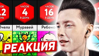 ХЕСУС СМОТРИТ: СКОЛЬКО СПЯТ ЖИВОТНЫЕ? | НАСКОЛЬКО Я СИЛЬНЫЙ? | МИР СРАВНЕНИЙ | РЕАКЦИЯ