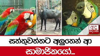 සත්තුවත්තට අලුතෙන් ආ සාමාජිකයෝ...