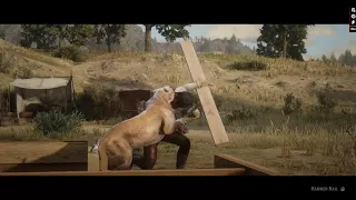 RDR2 | Cougar prevents John from building a house (my version)