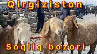 Qirgiziston soqliq qoy bozoridan piryamoy vidyo