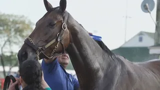 Kenny McPeek seeks first Kentucky Oaks win with Thorpedo Anna