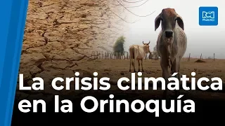 Así es el impacto del cambio climático en la Orinoquía