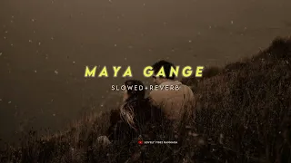 Maya gange | (slowed + reverb) | Lovely vibez Kannada