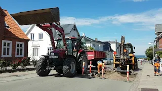 Lohals på Langeland, bliver en mangeårig plage kvit.