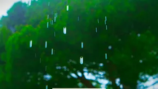 Relaxing Summer Rain Sounds for Sleep & Stress Relief