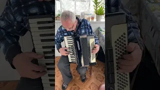 Weltmeister accordion, 3/4 accordion, 80 Bass, 34 keys, 3 voices, 5+3 registers, Germany accordion