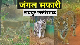 Jungle Safari Naya Raipur, Atal Nagar | Zoo | Raipur Chhattisgarh