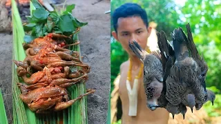 Primitive Technology: Finding Quail in the forest and Cooking Quail Eating Delicious