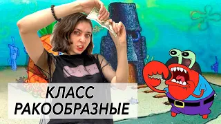 Урок "Класс Ракообразные" - ЦТ, ЕГЭ, ЗНО