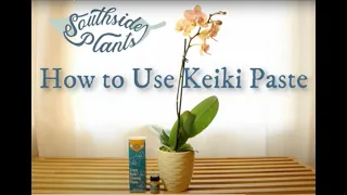 How to Apply Keiki Paste on Orchids