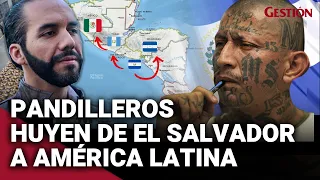 La huída de PANDILLEROS salvadoreños a AMÉRICA LATINA: Las medidas que están tomando los gobiernos
