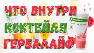 Из чего сделан коктейль Гербалайф. Что внутри коктейля Формула 1 Herbalife? Полный обзор