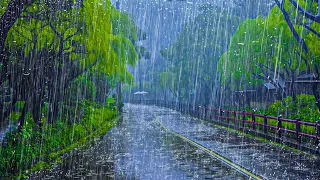 Overcome Insomnia in 5 minutes with Natural Sounds of Heavy Rain on the empty Road in the Forest