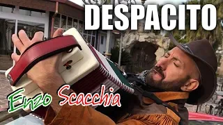 DESPACITO (Enzo Scacchia CAMPIONE DEL MONDO DI ORGANETTO) Luis Fonsi - Despacito ft. Daddy Yankee