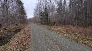 Bigfoot In Maine North Woods?