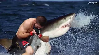 The moment the shark realized Khabib would win