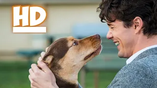 A Dog's Way Home (2019) - Finding Her Human Scene!! HD! Hindi!!