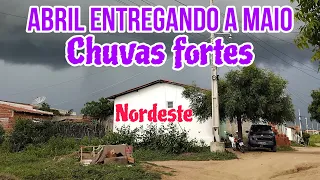 Abril entregando Maio com fortes chuvas. #chuva #nordeste #sertão