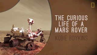 The Curious Life of a Mars Rover