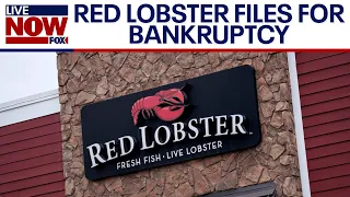 Red Lobster bankruptcy: Closing stores due to endless shrimp deal? | LiveNOW from FOX