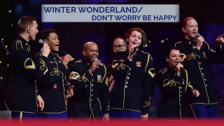 Winter Wonderland/Don't Worry Be Happy