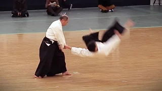 Daito-ryu Aiki-jujutsu - Kondo Katsuyuki - 38th Kobudo Embutakai at the Nippon Budokan