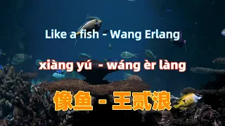 像鱼 - 王贰浪.xiang yu.Like a fish - Wang Erlang.Chinese songs lyrics with Pinyin.