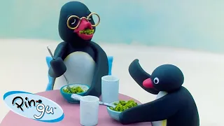 Pingu Enjoys Family Time! 🐧 | Pingu - Official Channel | Cartoons For Kids