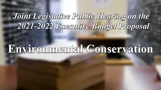 Joint Legislative Public Hearing on 2021 Exec. Budget Proposal: Environmental Conservation - 1/27/21