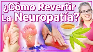 Eliminar La Neuropatía - Cómo Revertir O Curar El Daño Nervioso O Adormecimiento