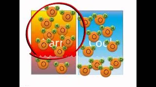 Isotope fractionation