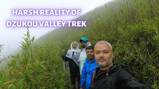 Dzukou Valley Trek | The Harsh Reality