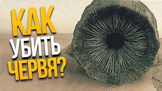 Как убить Червя из Дюны? Чего боятся Черви из Дюны?