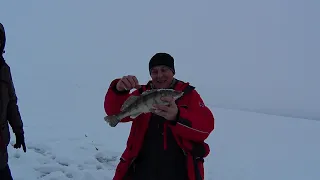 ЗИМНЯЯ РЫБАЛКА НА СУДАКА И БЕРША НА ТЮЛЬКУ.ЛОВЛЯ СУДАКА И БЕРША НА ПОСТАВУШКИ.ЛЕЩ НА САЛО.КАМА.