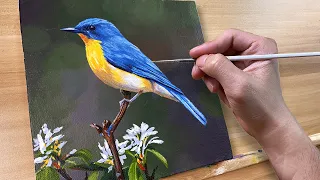 How to Paint a Bird / Acrylic Painting / Correa Art